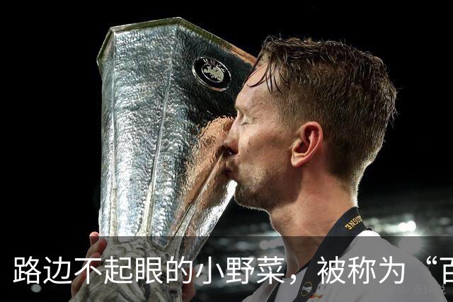 路边不起眼的小野菜，被称为“百菜之主”，易种易活，盆栽也爆盆