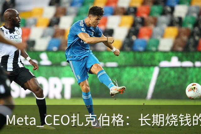 Meta CEO扎克伯格：长期烧钱的Muse和Reality Labs终于盈利在望